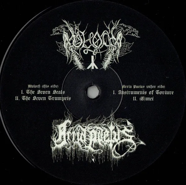 Moloch Arria Paetus Split LP vinyl gatefold brukt
