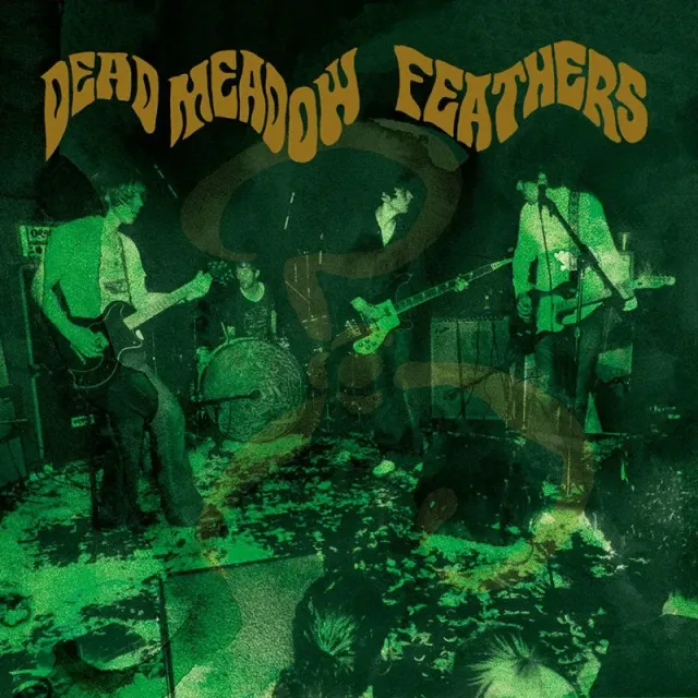 Heavy Psych Sounds Dead Meadow Feathers vinyl LP psych