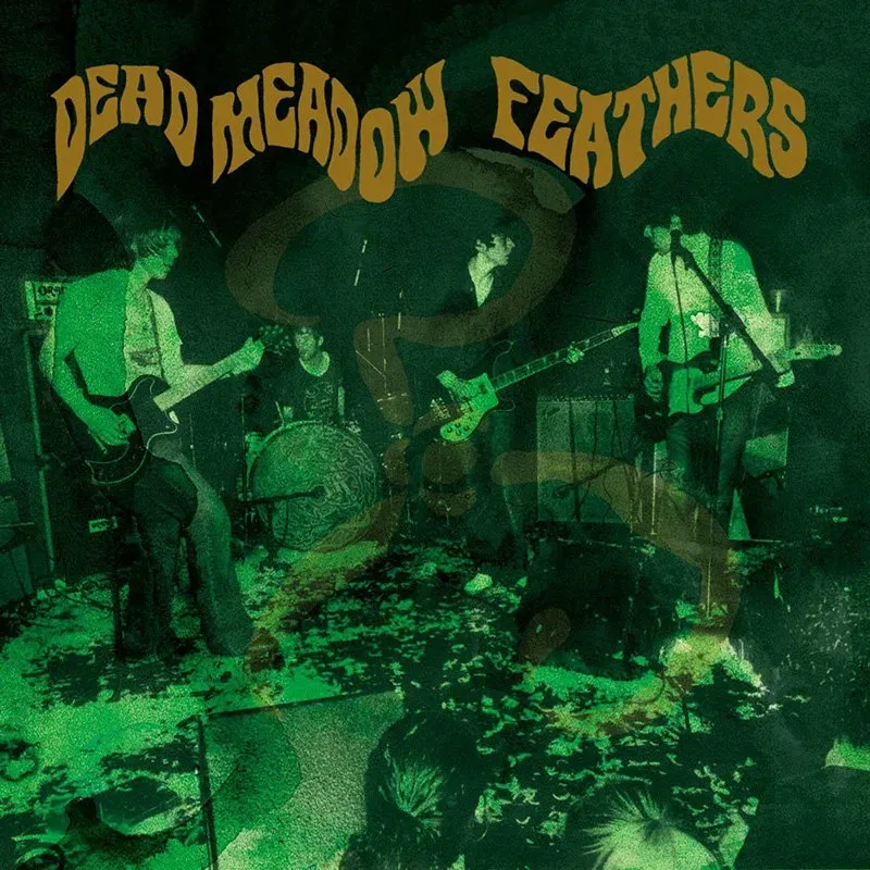Heavy Psych Sounds Dead Meadow Feathers vinyl LP psych