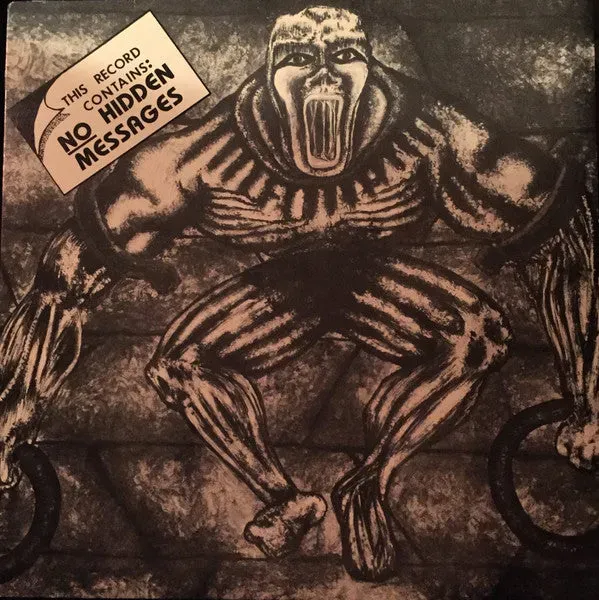 The Faction No Hidden Messages vinyl LP brukt skatepunk