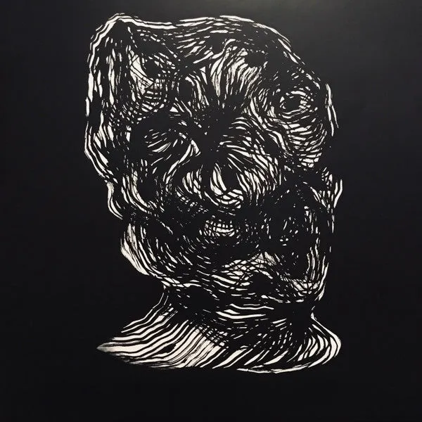 Angel Olsen Burn Your Fire LP brukt folk vinyl