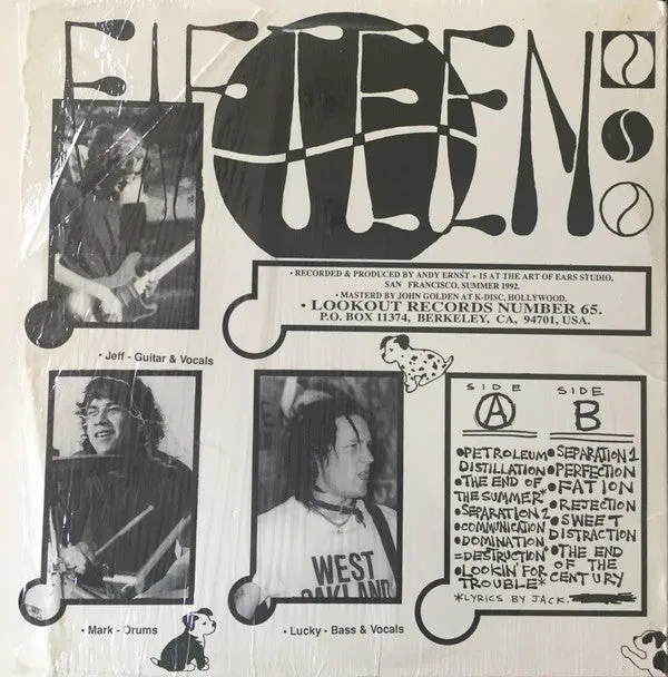 Fifteen The Choice Of A New Generation LP brukt punk