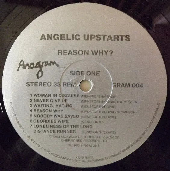 Angelic Upstarts Reason Why LP brukt punk