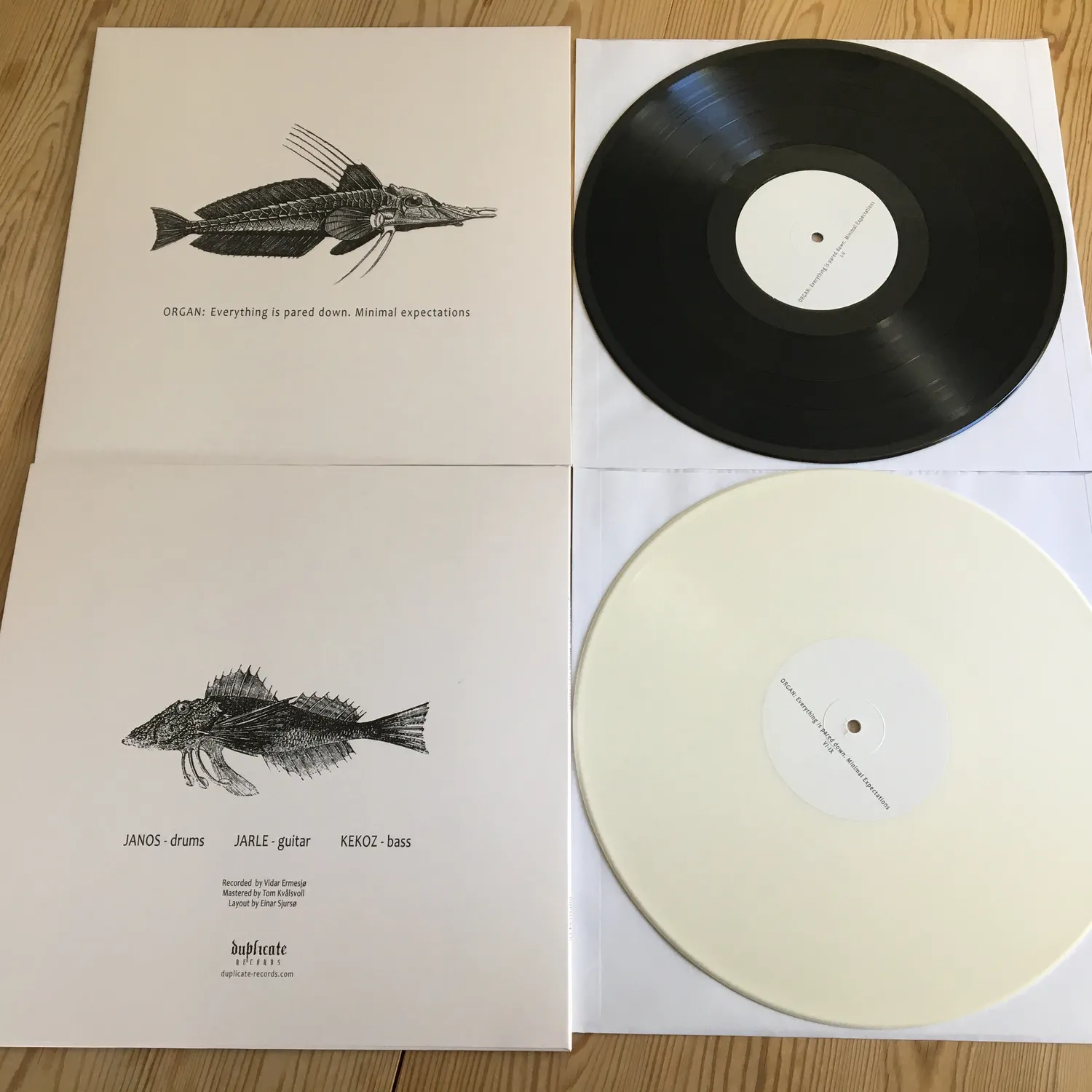 Organ Everything Is Pared Down LP hvit vinyl ltd