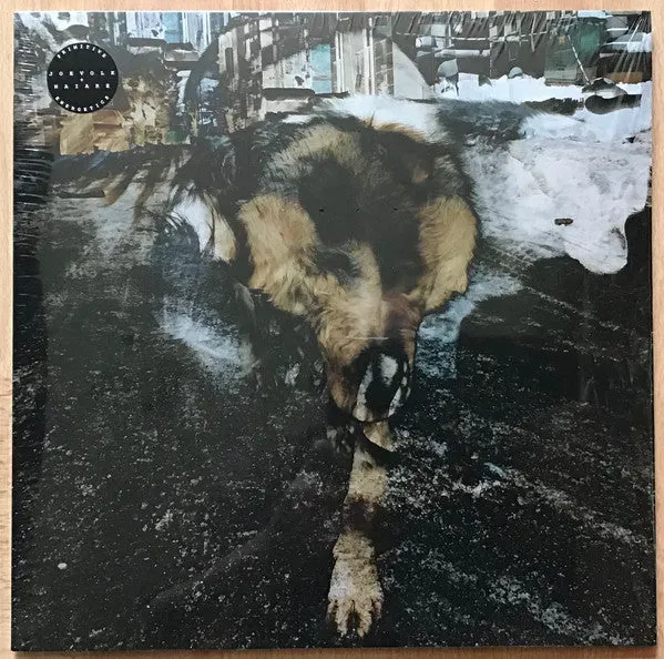Joe Volk Naiare Primitive Energetics LP brukt