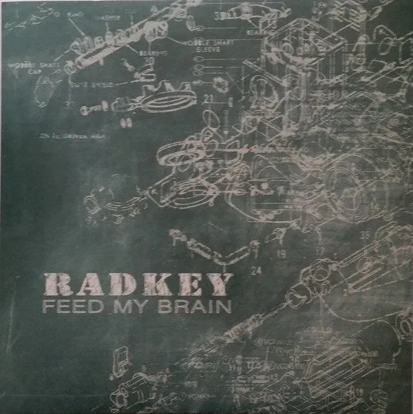 Radkey Feed My Brain 7" singel gul vinyl brukt