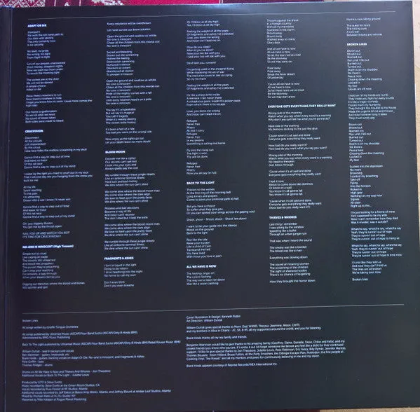 Giraffe Tongue Orchestra Broken Lines LP vinyl klar brukt