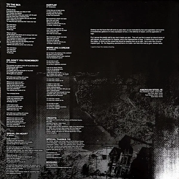 American Steel Destroy Their Future LP brukt svart