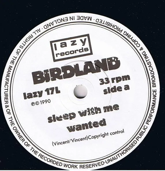 Birdland Sleep With Me 7" brukt EP indie rock