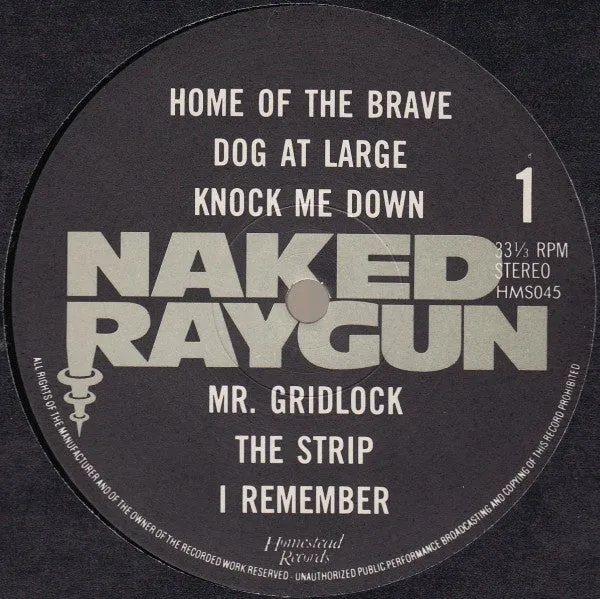 Naked Raygun All Rise LP vinyl brukt post-punk