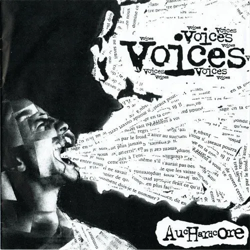 Various Voices Auchardcore 2x7" hardcore brukt