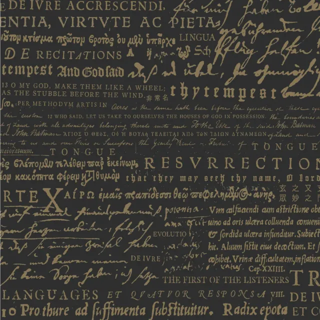 Recitations The First Of The Listeners LP svart vinyl