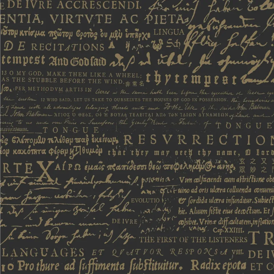 Recitations The First Of The Listeners LP svart vinyl