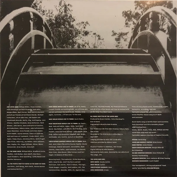 The Loved Ones Build & Burn LP vinyl brukt punk