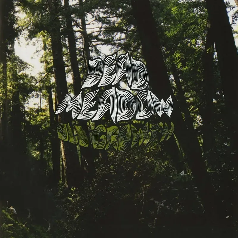 Heavy Psych Sounds Dead Meadow Old Growth dobbel LP farget