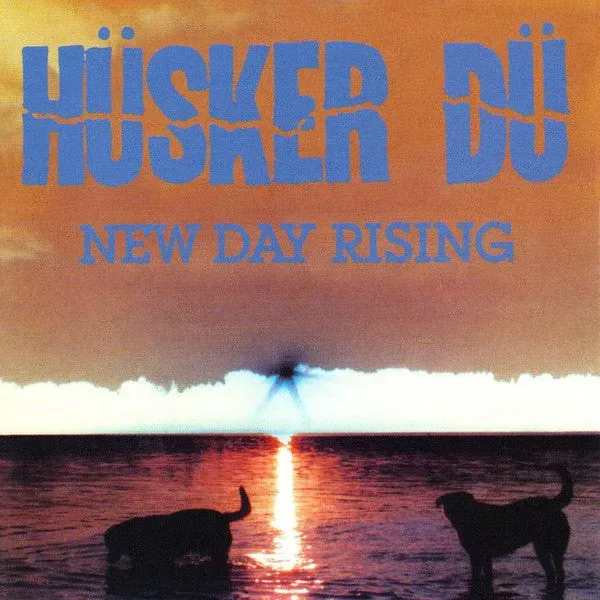 Hüsker Dü New Day Rising LP brukt reissue punk
