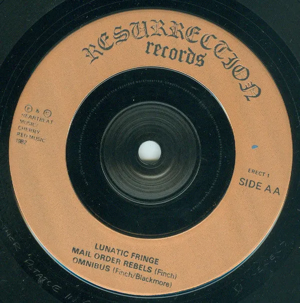 Lunatic Fringe Who's In Control 7" EP brukt punk