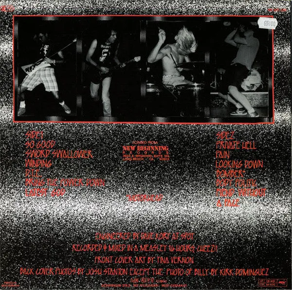 Haywire Private Hell LP vinylplate hardcore 1990
