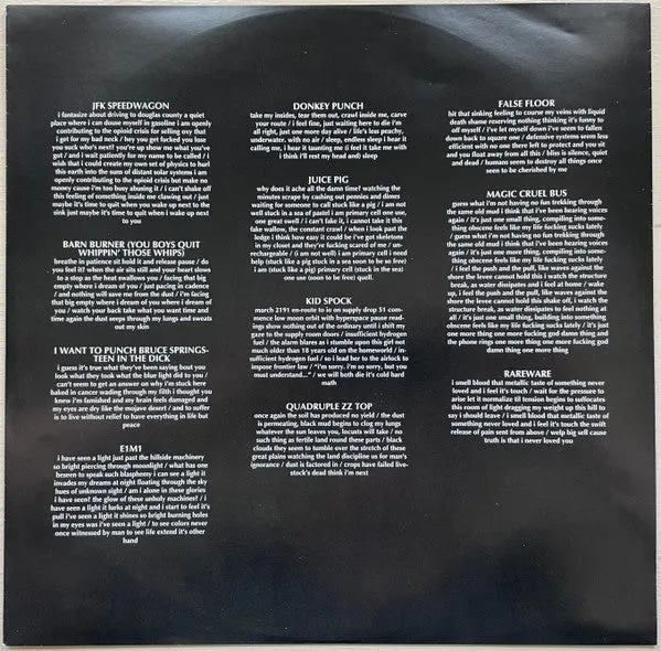 Bummer Dead Horse LP vinyl brukt sludge metal