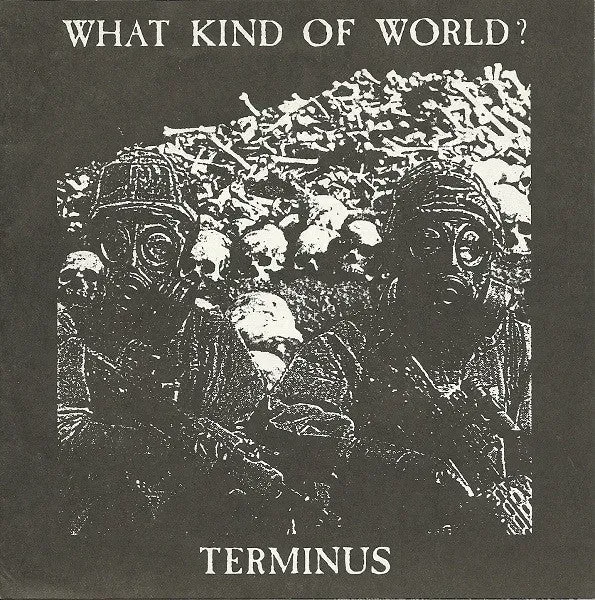 Terminus What Kind Of World 7" brukt testpress