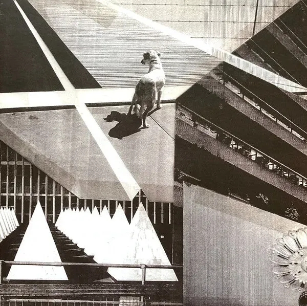 Tense Men Where Dull Care LP brukt post-punk