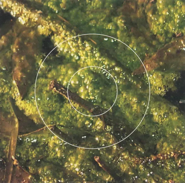 Various The Nature Of Systems CD samling brukt