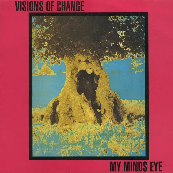 Visions Of Change My Minds Eye LP brukt vinyl hardcore