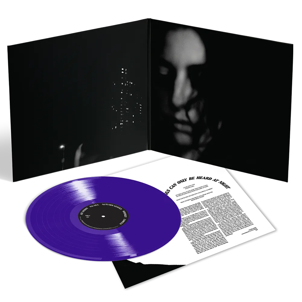 Arooj Aftab Night Reign LP translucent lilla vinyl