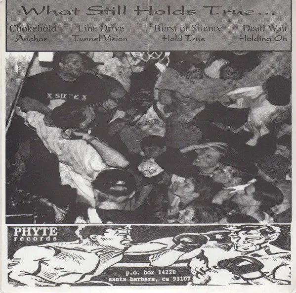 Various What Still Holds True 7" brukt hardcore