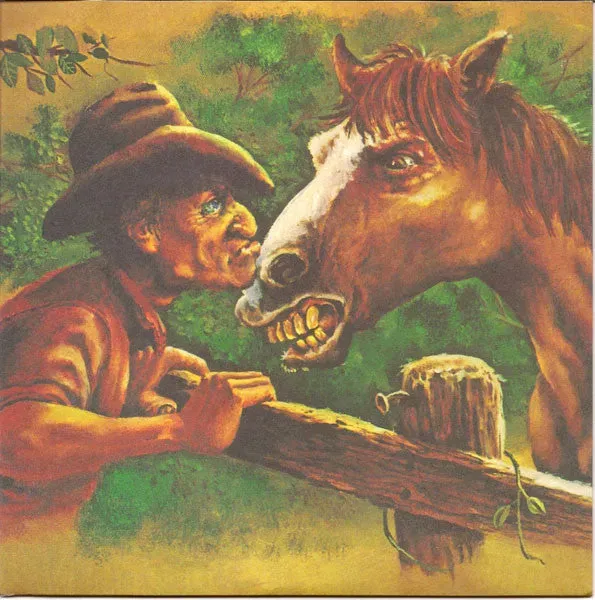 Rye Coalition New Sheriff 7" vinyl brukt hardcore