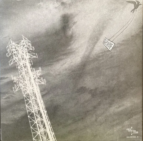 Silver Mt Zion Born Into Trouble 2x10" brukt postrock Constellation