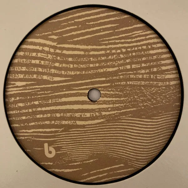 City Of Caterpillar City Of Caterpillar LP vinyl brukt emo
