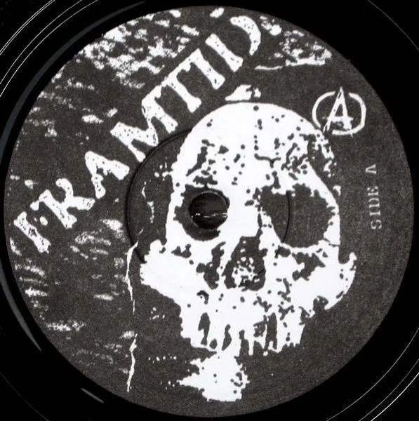 Framtid 8 Track EP 7-tommer hardcore punk
