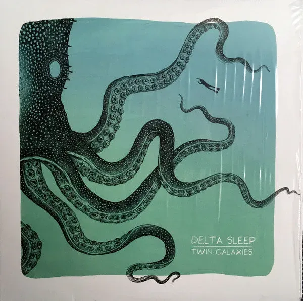 Delta Sleep Twin Galaxies LP vinyl svart brukt math rock