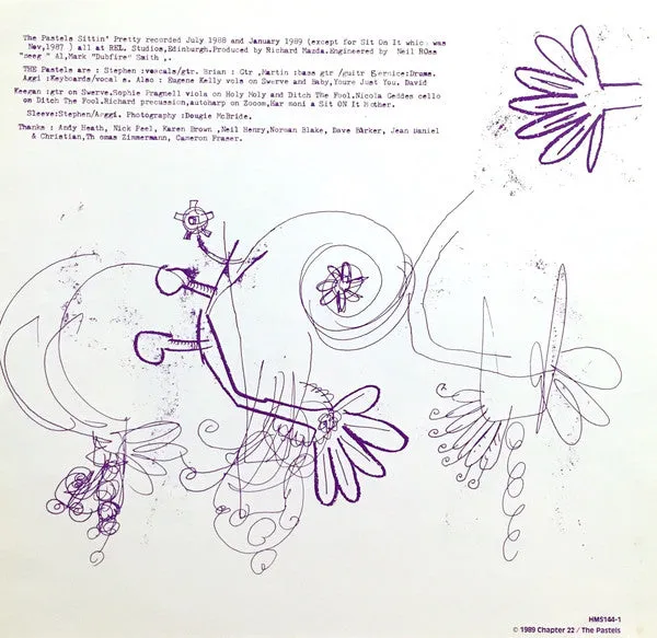 The Pastels Sittin' Pretty LP brukt – indie rock