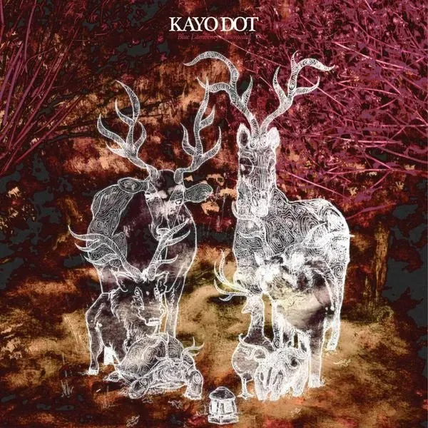 Kayo Dot Blue Lambency Downward CD promo avantgarde