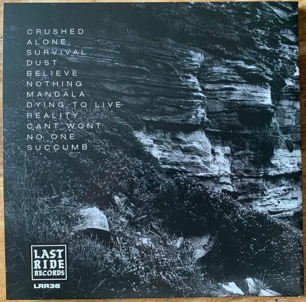 No Apologies Survival LP brukt hardcore blå
