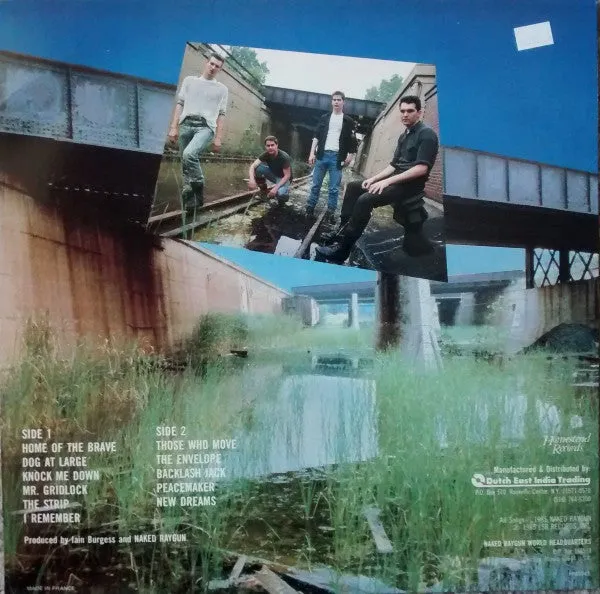 Naked Raygun All Rise LP vinyl brukt post-punk