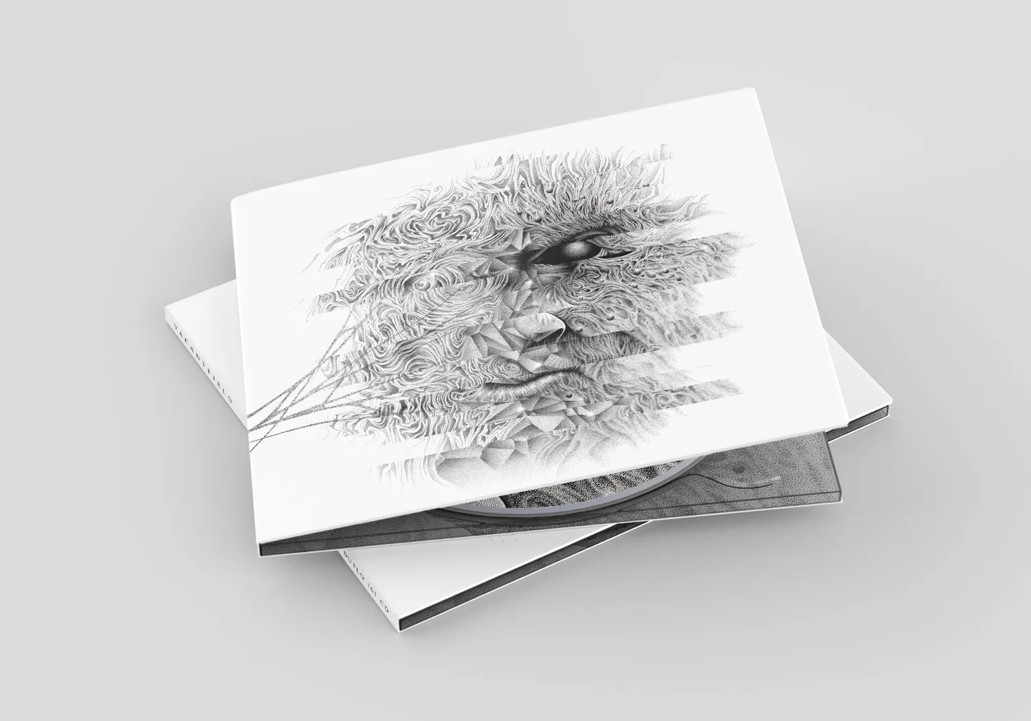 Vacantfield Idle MCD digipak limiteret