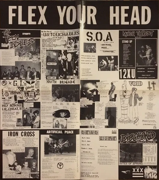 Various Flex Your Head LP vinyl blå repress brukt