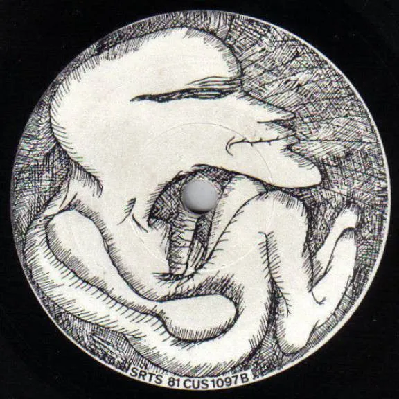 Rudimentary Peni EP 7" vinyl brukt 1981 punk