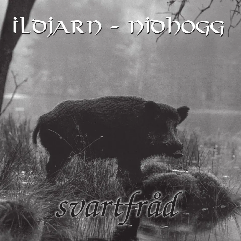 Ildjarn-Nidhogg Svartfråd CD digipak black metal