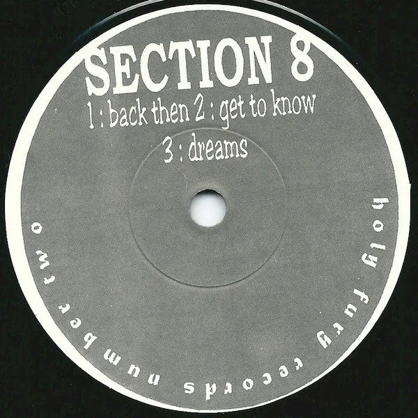 Outlast / Section 8 split 7" vinyl brukt hardcore