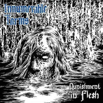 Innumerable Forms Punishment In Flesh CD brukt