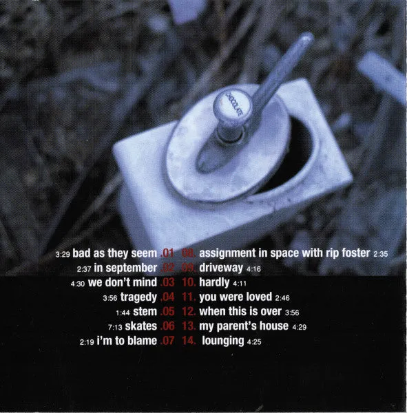 Hayden Everything I Long For CD brukt VG+ folkrock
