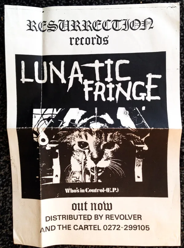 Lunatic Fringe Who's In Control 7" EP brukt punk