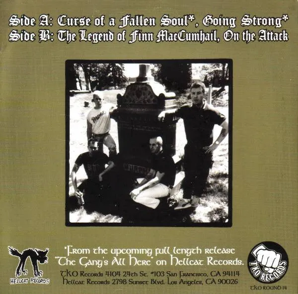 Dropkick Murphys Curse Of A Fallen Soul 7" vinyl brukt punk
