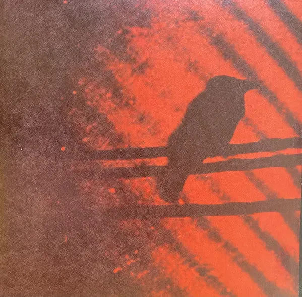 Silver Mt Zion Born Into Trouble 2x10" brukt postrock Constellation