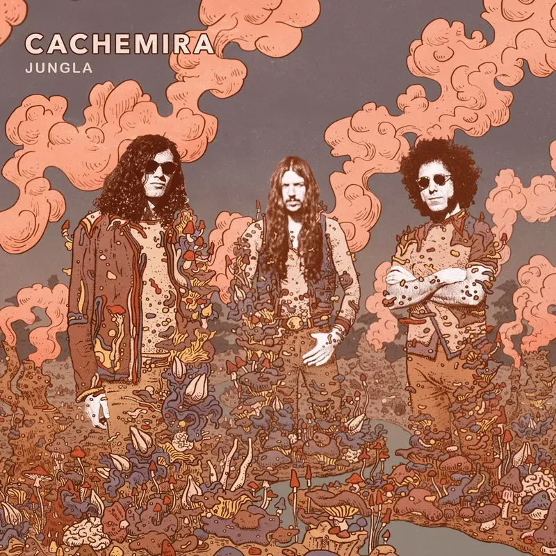 Cachemira Jungla vinyl LP analog lo-fi