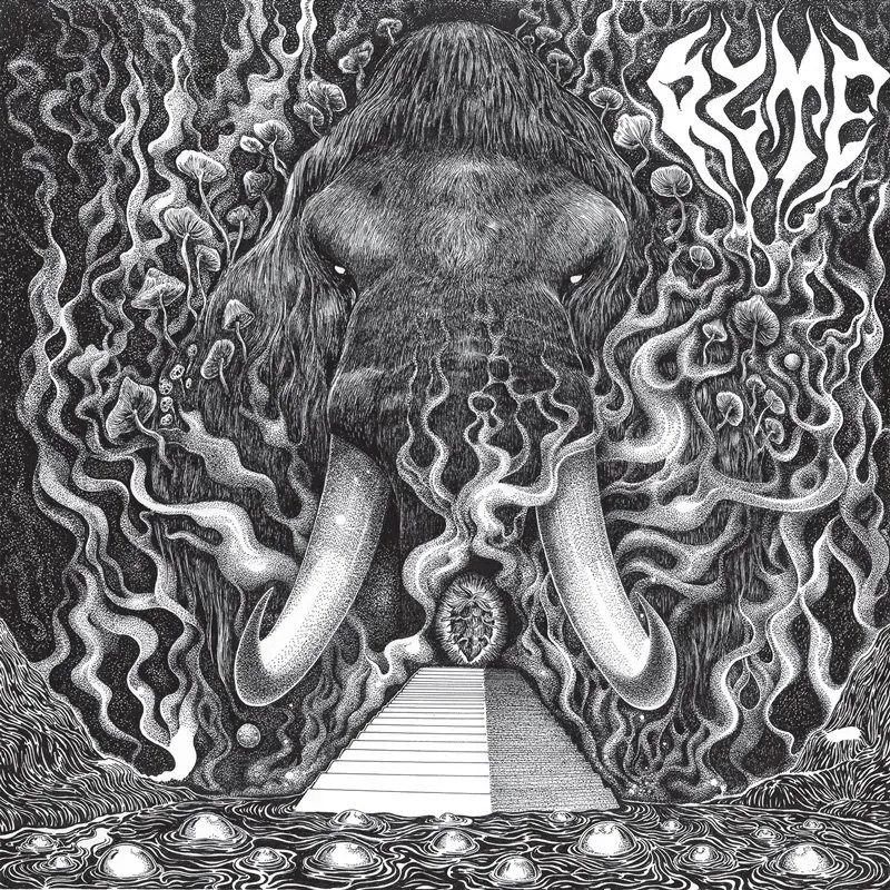 Ryte Ryte digipak CD psych debut